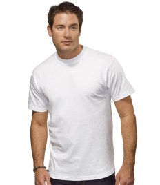 hanes t shirt effigy